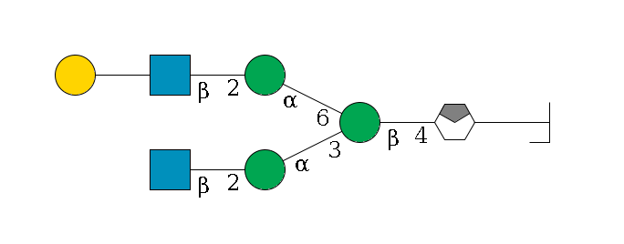 b1D-GlcNAc,p/#bcleavage--4b1D-GlcNAc,p/#xcleavage_0_4--4b1D-Man,p(--3a1D-Man,p--2b1D-GlcNAc,p)--6a1D-Man,p--2b1D-GlcNAc,p--??1D-Gal,p$MONO,Und,-H,0,redEnd