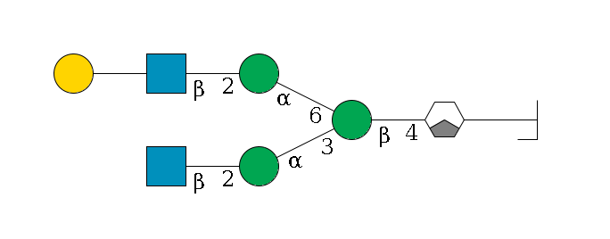 b1D-GlcNAc,p/#bcleavage--4b1D-GlcNAc,p/#xcleavage_1_3--4b1D-Man,p(--3a1D-Man,p--2b1D-GlcNAc,p)--6a1D-Man,p--2b1D-GlcNAc,p--??1D-Gal,p$MONO,Und,-2H,0,redEnd