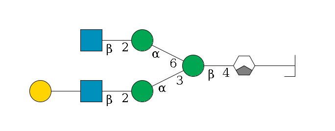 b1D-GlcNAc,p/#bcleavage--4b1D-GlcNAc,p/#xcleavage_1_3--4b1D-Man,p(--3a1D-Man,p--2b1D-GlcNAc,p--??1D-Gal,p)--6a1D-Man,p--2b1D-GlcNAc,p$MONO,Und,-H,0,redEnd