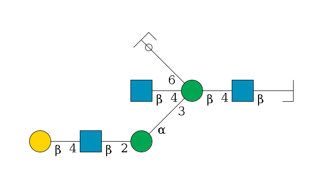 b1D-GlcNAc,p/#bcleavage--4b1D-GlcNAc,p--4b1D-Man,p((--3a1D-Man,p--2b1D-GlcNAc,p--4b1D-Gal,p)--4b1D-GlcNAc,p)--6a1D-Man,p/#ycleavage$MONO,Und,-H,0,redEnd