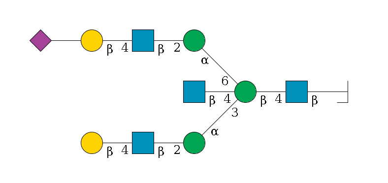 b1D-GlcNAc,p/#bcleavage--4b1D-GlcNAc,p--4b1D-Man,p((--3a1D-Man,p--2b1D-GlcNAc,p--4b1D-Gal,p)--4b1D-GlcNAc,p)--6a1D-Man,p--2b1D-GlcNAc,p--4b1D-Gal,p--??2D-NeuAc,p$MONO,Und,-2H,0,redEnd