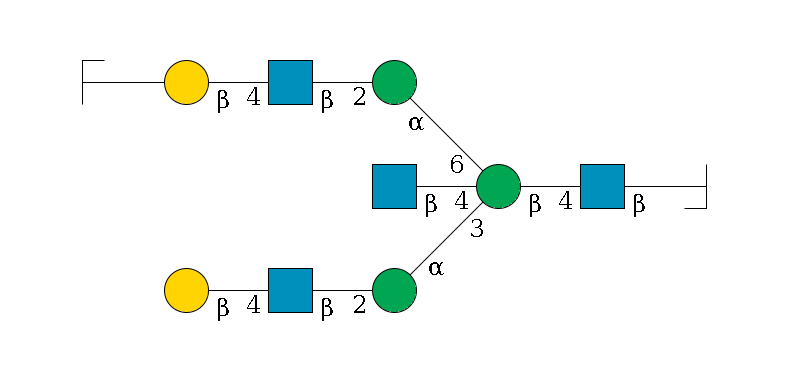 b1D-GlcNAc,p/#bcleavage--4b1D-GlcNAc,p--4b1D-Man,p((--3a1D-Man,p--2b1D-GlcNAc,p--4b1D-Gal,p)--4b1D-GlcNAc,p)--6a1D-Man,p--2b1D-GlcNAc,p--4b1D-Gal,p--??2D-NeuAc,p/#zcleavage$MONO,Und,-H,0,redEnd