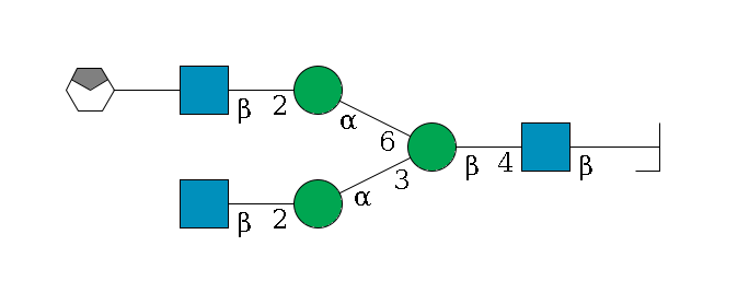 b1D-GlcNAc,p/#bcleavage--4b1D-GlcNAc,p--4b1D-Man,p(--3a1D-Man,p--2b1D-GlcNAc,p)--6a1D-Man,p--2b1D-GlcNAc,p--??1D-Gal,p/#xcleavage_0_4$MONO,Und,-H,0,redEnd