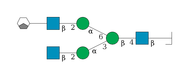 b1D-GlcNAc,p/#bcleavage--4b1D-GlcNAc,p--4b1D-Man,p(--3a1D-Man,p--2b1D-GlcNAc,p)--6a1D-Man,p--2b1D-GlcNAc,p--??1D-Gal,p/#xcleavage_1_3$MONO,Und,-H,0,redEnd