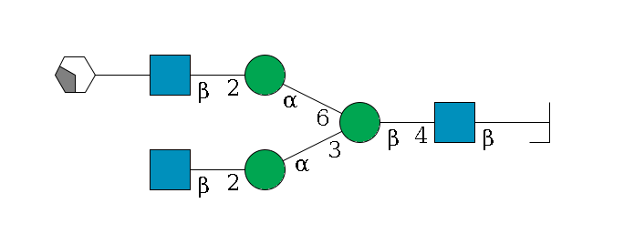 b1D-GlcNAc,p/#bcleavage--4b1D-GlcNAc,p--4b1D-Man,p(--3a1D-Man,p--2b1D-GlcNAc,p)--6a1D-Man,p--2b1D-GlcNAc,p--??1D-Gal,p/#xcleavage_2_4$MONO,Und,-H,0,redEnd