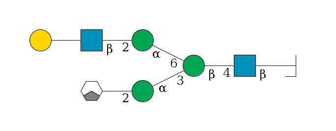 b1D-GlcNAc,p/#bcleavage--4b1D-GlcNAc,p--4b1D-Man,p(--3a1D-Man,p--2b1D-GlcNAc,p/#xcleavage_1_3)--6a1D-Man,p--2b1D-GlcNAc,p--??1D-Gal,p$MONO,Und,-2H,0,redEnd