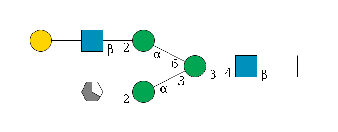 b1D-GlcNAc,p/#bcleavage--4b1D-GlcNAc,p--4b1D-Man,p(--3a1D-Man,p--2b1D-GlcNAc,p/#xcleavage_1_5)--6a1D-Man,p--2b1D-GlcNAc,p--??1D-Gal,p$MONO,Und,-H,0,redEnd