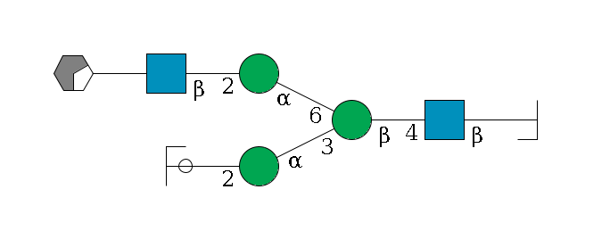 b1D-GlcNAc,p/#bcleavage--4b1D-GlcNAc,p--4b1D-Man,p(--3a1D-Man,p--2b1D-GlcNAc,p/#ycleavage)--6a1D-Man,p--2b1D-GlcNAc,p--??1D-Gal,p/#xcleavage_0_2$MONO,Und,-H,0,redEnd