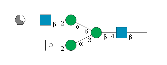 b1D-GlcNAc,p/#bcleavage--4b1D-GlcNAc,p--4b1D-Man,p(--3a1D-Man,p--2b1D-GlcNAc,p/#ycleavage)--6a1D-Man,p--2b1D-GlcNAc,p--?b1D-Gal,p/#xcleavage_1_5$MONO,Und,-2H,0,redEnd