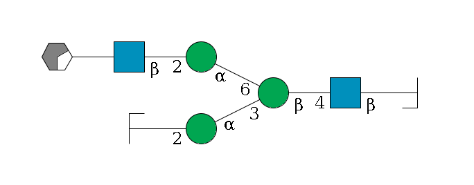 b1D-GlcNAc,p/#bcleavage--4b1D-GlcNAc,p--4b1D-Man,p(--3a1D-Man,p--2b1D-GlcNAc,p/#zcleavage)--6a1D-Man,p--2b1D-GlcNAc,p--?b1D-Gal,p/#xcleavage_0_2$MONO,Und,-H,0,redEnd