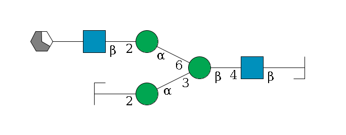 b1D-GlcNAc,p/#bcleavage--4b1D-GlcNAc,p--4b1D-Man,p(--3a1D-Man,p--2b1D-GlcNAc,p/#zcleavage)--6a1D-Man,p--2b1D-GlcNAc,p--?b1D-Gal,p/#xcleavage_1_5$MONO,Und,-2H,0,redEnd