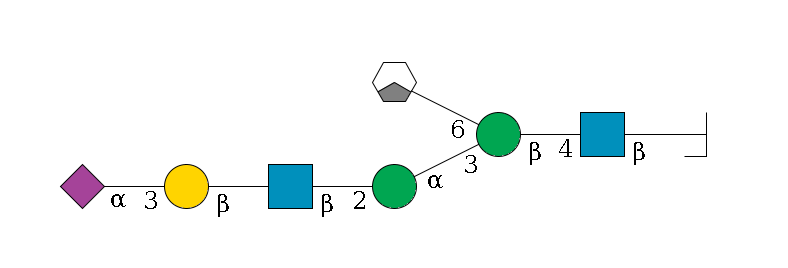 b1D-GlcNAc,p/#bcleavage--4b1D-GlcNAc,p--4b1D-Man,p(--3a1D-Man,p--2b1D-GlcNAc,p--?b1D-Gal,p--3a2D-NeuAc,p)--6a1D-Man,p/#xcleavage_1_3$MONO,Und,-H,0,redEnd