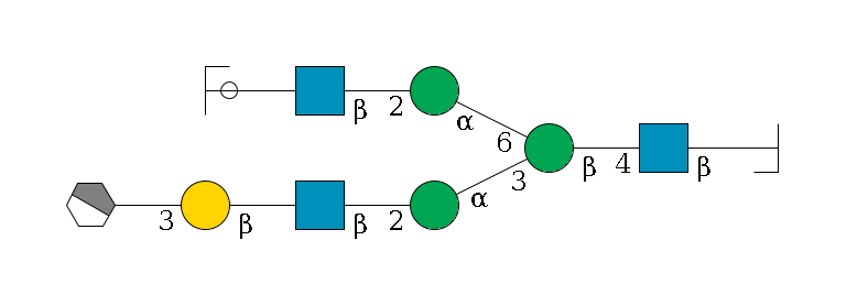 b1D-GlcNAc,p/#bcleavage--4b1D-GlcNAc,p--4b1D-Man,p(--3a1D-Man,p--2b1D-GlcNAc,p--?b1D-Gal,p--3a2D-NeuAc,p/#xcleavage_1_4)--6a1D-Man,p--2b1D-GlcNAc,p--?b1D-Gal,p/#ycleavage$MONO,Und,-2H,0,redEnd