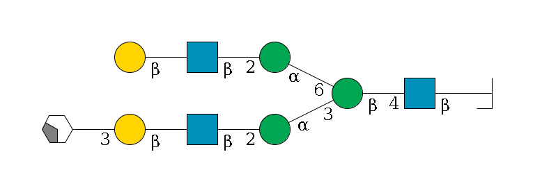 b1D-GlcNAc,p/#bcleavage--4b1D-GlcNAc,p--4b1D-Man,p(--3a1D-Man,p--2b1D-GlcNAc,p--?b1D-Gal,p--3a2D-NeuAc,p/#xcleavage_2_4)--6a1D-Man,p--2b1D-GlcNAc,p--?b1D-Gal,p$MONO,Und,-H,0,redEnd