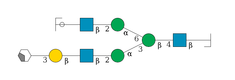 b1D-GlcNAc,p/#bcleavage--4b1D-GlcNAc,p--4b1D-Man,p(--3a1D-Man,p--2b1D-GlcNAc,p--?b1D-Gal,p--3a2D-NeuAc,p/#xcleavage_2_4)--6a1D-Man,p--2b1D-GlcNAc,p--?b1D-Gal,p/#ycleavage$MONO,Und,-H,0,redEnd