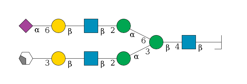 b1D-GlcNAc,p/#bcleavage--4b1D-GlcNAc,p--4b1D-Man,p(--3a1D-Man,p--2b1D-GlcNAc,p--?b1D-Gal,p--3a2D-NeuAc,p/#xcleavage_2_4)--6a1D-Man,p--2b1D-GlcNAc,p--?b1D-Gal,p--6a2D-NeuAc,p$MONO,Und,-2H,0,redEnd