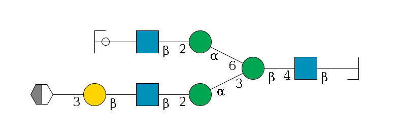 b1D-GlcNAc,p/#bcleavage--4b1D-GlcNAc,p--4b1D-Man,p(--3a1D-Man,p--2b1D-GlcNAc,p--?b1D-Gal,p--3a2D-NeuAc,p/#xcleavage_2_5)--6a1D-Man,p--2b1D-GlcNAc,p--?b1D-Gal,p/#ycleavage$MONO,Und,-2H,0,redEnd