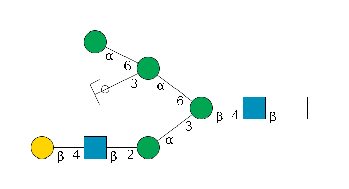 b1D-GlcNAc,p/#bcleavage--4b1D-GlcNAc,p--4b1D-Man,p(--3a1D-Man,p--2b1D-GlcNAc,p--4b1D-Gal,p)--6a1D-Man,p(--3a1D-Man,p/#ycleavage)--6a1D-Man,p$MONO,Und,-H,0,redEnd