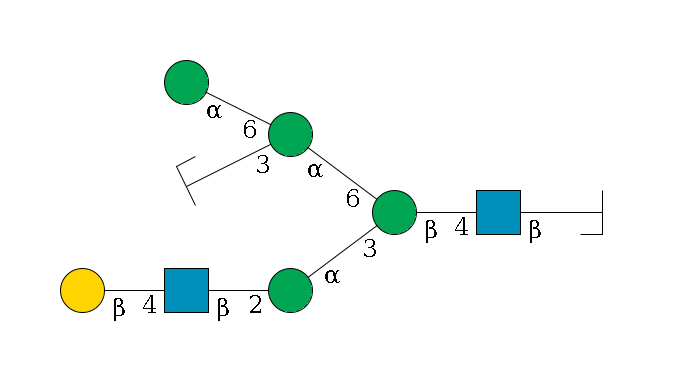 b1D-GlcNAc,p/#bcleavage--4b1D-GlcNAc,p--4b1D-Man,p(--3a1D-Man,p--2b1D-GlcNAc,p--4b1D-Gal,p)--6a1D-Man,p(--3a1D-Man,p/#zcleavage)--6a1D-Man,p$MONO,Und,-H,0,redEnd