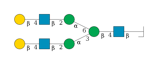 b1D-GlcNAc,p/#bcleavage--4b1D-GlcNAc,p--4b1D-Man,p(--3a1D-Man,p--2b1D-GlcNAc,p--4b1D-Gal,p)--6a1D-Man,p--2b1D-GlcNAc,p--4b1D-Gal,p$MONO,Und,-2H,0,redEnd