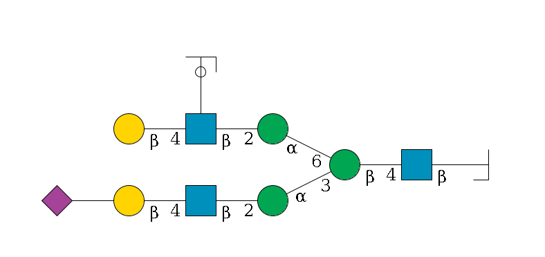 b1D-GlcNAc,p/#bcleavage--4b1D-GlcNAc,p--4b1D-Man,p(--3a1D-Man,p--2b1D-GlcNAc,p--4b1D-Gal,p--??2D-NeuAc,p)--6a1D-Man,p--2b1D-GlcNAc,p(--4b1D-Gal,p)--??1L-Fuc,p/#ycleavage$MONO,Und,-H,0,redEnd