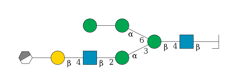 b1D-GlcNAc,p/#bcleavage--4b1D-GlcNAc,p--4b1D-Man,p(--3a1D-Man,p--2b1D-GlcNAc,p--4b1D-Gal,p--??2D-NeuAc,p/#xcleavage_0_3)--6a1D-Man,p--??1D-Man,p$MONO,Und,-2H,0,redEnd