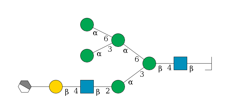 b1D-GlcNAc,p/#bcleavage--4b1D-GlcNAc,p--4b1D-Man,p(--3a1D-Man,p--2b1D-GlcNAc,p--4b1D-Gal,p--??2D-NeuAc,p/#xcleavage_1_4)--6a1D-Man,p(--3a1D-Man,p)--6a1D-Man,p$MONO,Und,-2H,0,redEnd