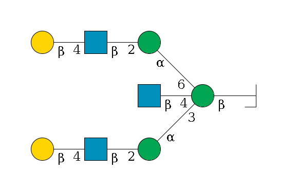 b1D-GlcNAc,p/#bcleavage--4b1D-Man,p((--3a1D-Man,p--2b1D-GlcNAc,p--4b1D-Gal,p)--4b1D-GlcNAc,p)--6a1D-Man,p--2b1D-GlcNAc,p--4b1D-Gal,p$MONO,Und,-2H,0,redEnd