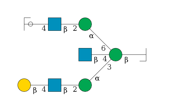 b1D-GlcNAc,p/#bcleavage--4b1D-Man,p((--3a1D-Man,p--2b1D-GlcNAc,p--4b1D-Gal,p)--4b1D-GlcNAc,p)--6a1D-Man,p--2b1D-GlcNAc,p--4b1D-Gal,p/#ycleavage$MONO,Und,-2H,0,redEnd