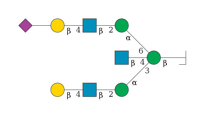 b1D-GlcNAc,p/#bcleavage--4b1D-Man,p((--3a1D-Man,p--2b1D-GlcNAc,p--4b1D-Gal,p)--4b1D-GlcNAc,p)--6a1D-Man,p--2b1D-GlcNAc,p--4b1D-Gal,p--??2D-NeuAc,p$MONO,Und,-2H,0,redEnd