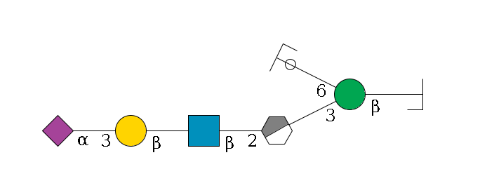 b1D-GlcNAc,p/#bcleavage--4b1D-Man,p(--3a1D-Man,p/#xcleavage_0_3--2b1D-GlcNAc,p--?b1D-Gal,p--3a2D-NeuAc,p)--6a1D-Man,p/#ycleavage$MONO,Und,-H,0,redEnd