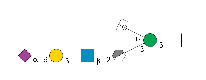 b1D-GlcNAc,p/#bcleavage--4b1D-Man,p(--3a1D-Man,p/#xcleavage_0_3--2b1D-GlcNAc,p--?b1D-Gal,p--6a2D-NeuAc,p)--6a1D-Man,p/#ycleavage$MONO,Und,-H,0,redEnd