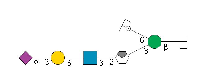 b1D-GlcNAc,p/#bcleavage--4b1D-Man,p(--3a1D-Man,p/#xcleavage_0_4--2b1D-GlcNAc,p--?b1D-Gal,p--3a2D-NeuAc,p)--6a1D-Man,p/#ycleavage$MONO,Und,-2H,0,redEnd