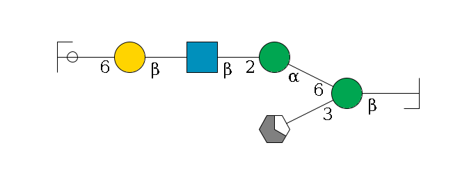 b1D-GlcNAc,p/#bcleavage--4b1D-Man,p(--3a1D-Man,p/#xcleavage_1_5)--6a1D-Man,p--2b1D-GlcNAc,p--?b1D-Gal,p--6a2D-NeuAc,p/#ycleavage$MONO,Und,-H,0,redEnd