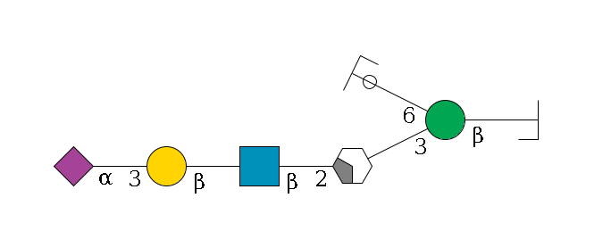 b1D-GlcNAc,p/#bcleavage--4b1D-Man,p(--3a1D-Man,p/#xcleavage_2_4--2b1D-GlcNAc,p--?b1D-Gal,p--3a2D-NeuAc,p)--6a1D-Man,p/#ycleavage$MONO,Und,-2H,0,redEnd