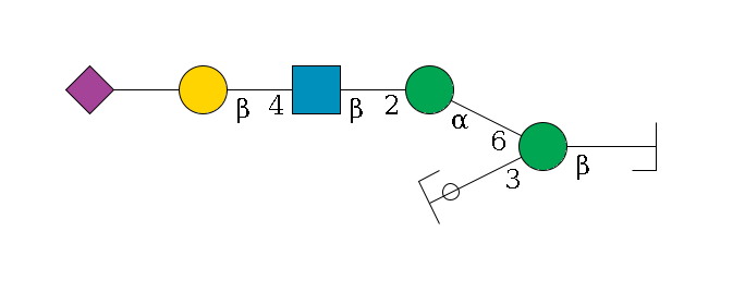 b1D-GlcNAc,p/#bcleavage--4b1D-Man,p(--3a1D-Man,p/#ycleavage)--6a1D-Man,p--2b1D-GlcNAc,p--4b1D-Gal,p--??2D-NeuAc,p$MONO,Und,-H,0,redEnd