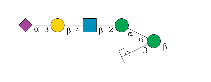 b1D-GlcNAc,p/#bcleavage--4b1D-Man,p(--3a1D-Man,p/#ycleavage)--6a1D-Man,p--2b1D-GlcNAc,p--4b1D-Gal,p--3a2D-NeuAc,p$MONO,Und,-H,0,redEnd
