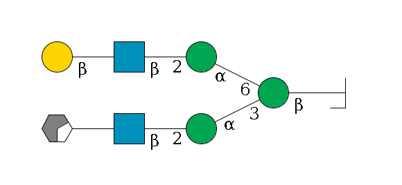 b1D-GlcNAc,p/#bcleavage--4b1D-Man,p(--3a1D-Man,p--2b1D-GlcNAc,p--?b1D-Gal,p/#xcleavage_0_2)--6a1D-Man,p--2b1D-GlcNAc,p--?b1D-Gal,p$MONO,Und,-H,0,redEnd