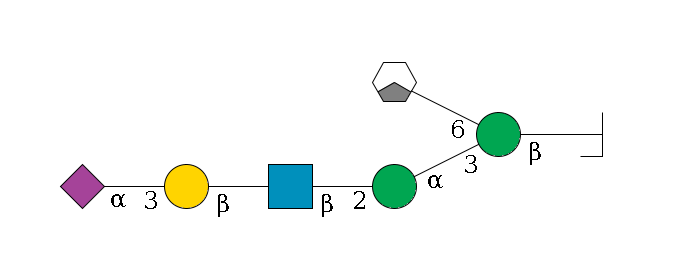 b1D-GlcNAc,p/#bcleavage--4b1D-Man,p(--3a1D-Man,p--2b1D-GlcNAc,p--?b1D-Gal,p--3a2D-NeuAc,p)--6a1D-Man,p/#xcleavage_1_3$MONO,Und,-H,0,redEnd