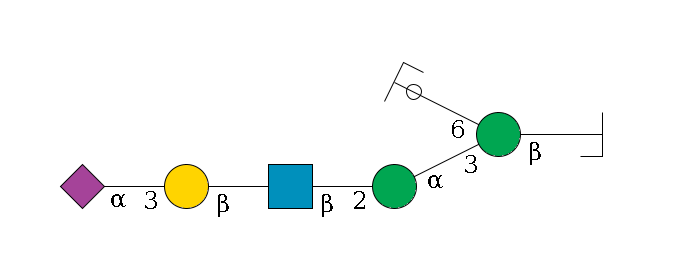 b1D-GlcNAc,p/#bcleavage--4b1D-Man,p(--3a1D-Man,p--2b1D-GlcNAc,p--?b1D-Gal,p--3a2D-NeuAc,p)--6a1D-Man,p/#ycleavage$MONO,Und,-H,0,redEnd