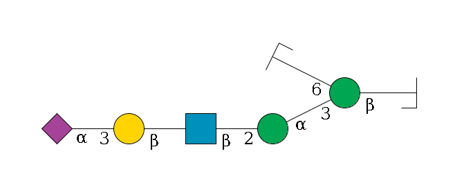b1D-GlcNAc,p/#bcleavage--4b1D-Man,p(--3a1D-Man,p--2b1D-GlcNAc,p--?b1D-Gal,p--3a2D-NeuAc,p)--6a1D-Man,p/#zcleavage$MONO,Und,-H,0,redEnd