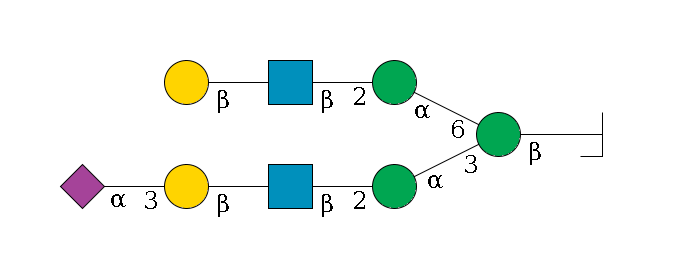 b1D-GlcNAc,p/#bcleavage--4b1D-Man,p(--3a1D-Man,p--2b1D-GlcNAc,p--?b1D-Gal,p--3a2D-NeuAc,p)--6a1D-Man,p--2b1D-GlcNAc,p--?b1D-Gal,p$MONO,Und,-H,0,redEnd