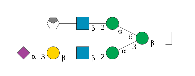 b1D-GlcNAc,p/#bcleavage--4b1D-Man,p(--3a1D-Man,p--2b1D-GlcNAc,p--?b1D-Gal,p--3a2D-NeuAc,p)--6a1D-Man,p--2b1D-GlcNAc,p--?b1D-Gal,p/#xcleavage_0_4$MONO,Und,-H,0,redEnd