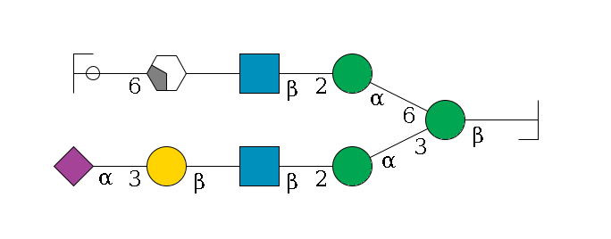 b1D-GlcNAc,p/#bcleavage--4b1D-Man,p(--3a1D-Man,p--2b1D-GlcNAc,p--?b1D-Gal,p--3a2D-NeuAc,p)--6a1D-Man,p--2b1D-GlcNAc,p--?b1D-Gal,p/#xcleavage_2_4--6a2D-NeuAc,p/#ycleavage$MONO,Und,-H,0,redEnd