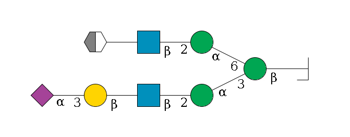 b1D-GlcNAc,p/#bcleavage--4b1D-Man,p(--3a1D-Man,p--2b1D-GlcNAc,p--?b1D-Gal,p--3a2D-NeuAc,p)--6a1D-Man,p--2b1D-GlcNAc,p--?b1D-Gal,p/#xcleavage_2_5$MONO,Und,-H,0,redEnd