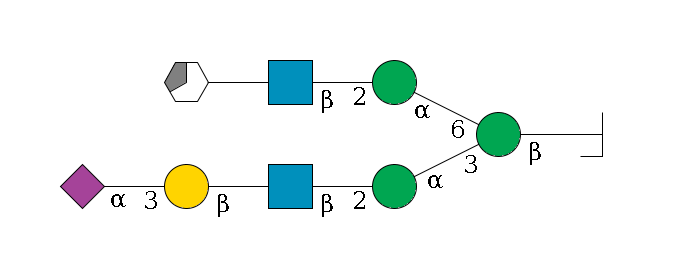 b1D-GlcNAc,p/#bcleavage--4b1D-Man,p(--3a1D-Man,p--2b1D-GlcNAc,p--?b1D-Gal,p--3a2D-NeuAc,p)--6a1D-Man,p--2b1D-GlcNAc,p--?b1D-Gal,p/#xcleavage_3_5$MONO,Und,-2H,0,redEnd