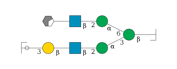 b1D-GlcNAc,p/#bcleavage--4b1D-Man,p(--3a1D-Man,p--2b1D-GlcNAc,p--?b1D-Gal,p--3a2D-NeuAc,p/#ycleavage)--6a1D-Man,p--2b1D-GlcNAc,p--?b1D-Gal,p/#xcleavage_0_2$MONO,Und,-H,0,redEnd