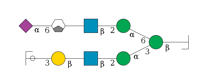 b1D-GlcNAc,p/#bcleavage--4b1D-Man,p(--3a1D-Man,p--2b1D-GlcNAc,p--?b1D-Gal,p--3a2D-NeuAc,p/#ycleavage)--6a1D-Man,p--2b1D-GlcNAc,p--?b1D-Gal,p/#xcleavage_1_3--6a2D-NeuAc,p$MONO,Und,-H,0,redEnd