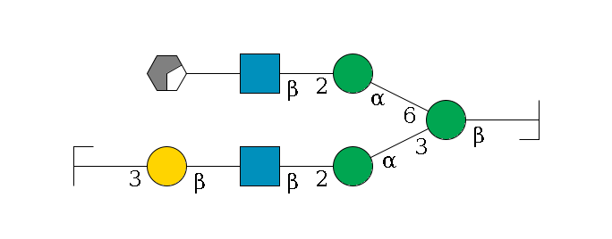 b1D-GlcNAc,p/#bcleavage--4b1D-Man,p(--3a1D-Man,p--2b1D-GlcNAc,p--?b1D-Gal,p--3a2D-NeuAc,p/#zcleavage)--6a1D-Man,p--2b1D-GlcNAc,p--?b1D-Gal,p/#xcleavage_0_2$MONO,Und,-H,0,redEnd