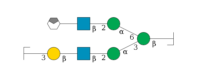 b1D-GlcNAc,p/#bcleavage--4b1D-Man,p(--3a1D-Man,p--2b1D-GlcNAc,p--?b1D-Gal,p--3a2D-NeuAc,p/#zcleavage)--6a1D-Man,p--2b1D-GlcNAc,p--?b1D-Gal,p/#xcleavage_0_4$MONO,Und,-2H,0,redEnd